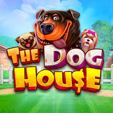 rejekigames